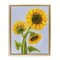 Stupell Industries Sunflower Trio Against Blue Floating Frame, design by Patti Bishop